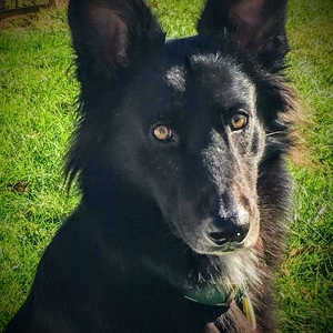 Fundraising Page: neal maguire